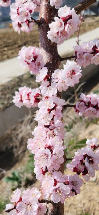 한재골님의 자유주제 · 사진전 작성글 사진