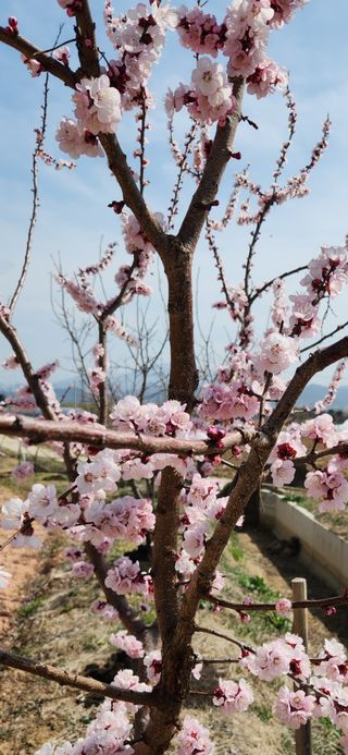 한재골님의 자유주제 · 사진전 작성글 사진