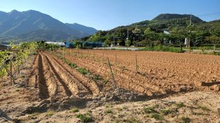 한재골님의 자유주제 · 사진전 작성글 사진