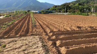 한재골님의 자유주제 · 사진전 작성글 사진