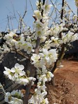 팜모닝 자유주제·자유게시판 게시글 이미지