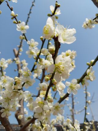 손 금희님의 자유주제 · 자유게시판 작성글 사진