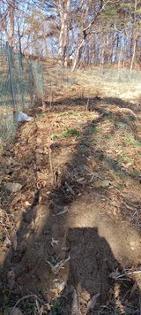 팜모닝 자유주제·자유게시판 게시글 이미지