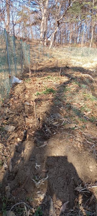 고병길님의 자유주제 · 자유게시판 작성글 사진