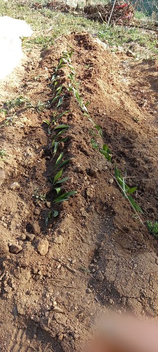 고병길님의 자유주제 · 자유게시판 작성글 사진