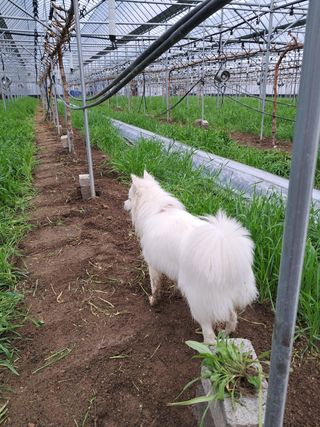 정이오가네농원님의 자유주제 · 사진전 작성글 사진