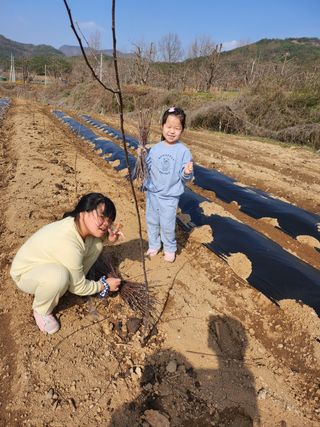 김선미님의 사과 · 일상 작성글 사진