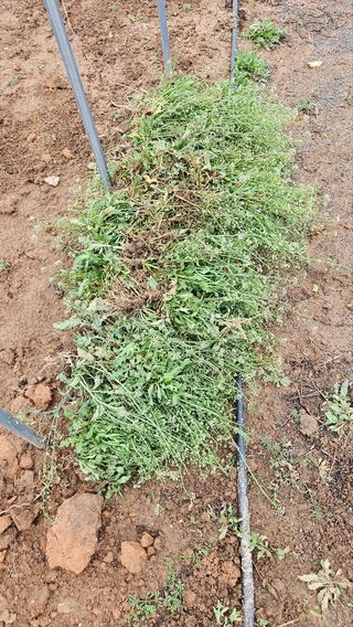 권미현 님의 자유주제 · 사진전 작성글 사진