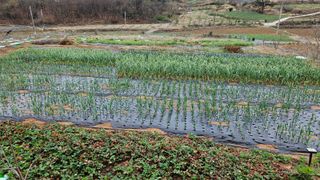 권미현 님의 자유주제 · 사진전 작성글 사진