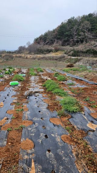 권미현 님의 자유주제 · 사진전 작성글 사진