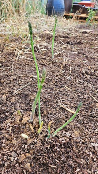 권미현 님의 자유주제 · 사진전 작성글 사진
