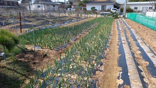 인도양님의 자유주제 · 사진전 작성글 사진