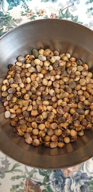 작은농부님의 콩 · 병해충상담 작성글 사진