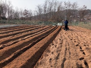 노유택 님의 자유주제 · 자유게시판 작성글 사진