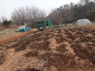 노유택 님의 자유주제 · 자유게시판 작성글 사진