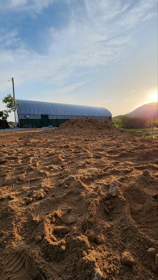 한재골님의 고구마 · 자유게시판 작성글 사진