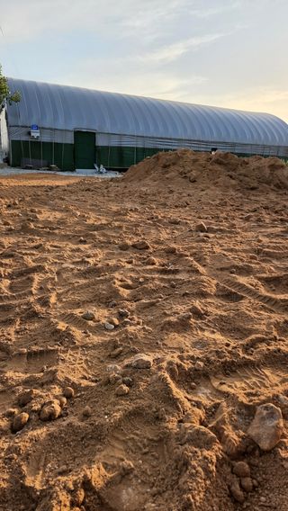 한재골님의 고구마 · 자유게시판 작성글 사진