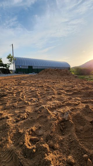 한재골님의 고구마 · 자유게시판 작성글 사진