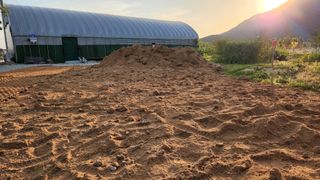 한재골님의 고구마 · 자유게시판 작성글 사진