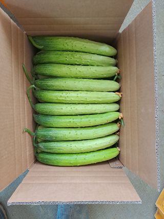 성기철님의 작성글 사진