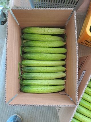 성기철님의 작성글 사진