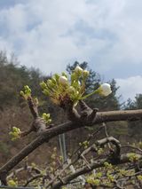 팜모닝 자유주제·사진전 게시글 이미지