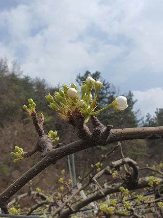 심수보 님의 자유주제 · 사진전 작성글 사진