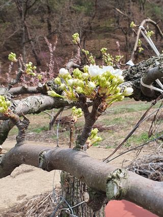 심수보 님의 자유주제 · 사진전 작성글 사진