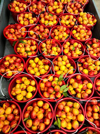 윤광원 님의 자유주제 · 자유게시판 작성글 사진