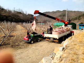 윤광원 님의 자유주제 · 자유게시판 작성글 사진