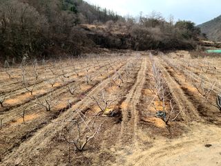 윤광원 님의 자유주제 · 자유게시판 작성글 사진