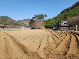 씨부리님의 자유주제 · 사진전 작성글 사진