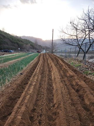 씨부리님의 자유주제 · 사진전 작성글 사진