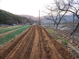 씨부리님의 자유주제 · 사진전 작성글 사진