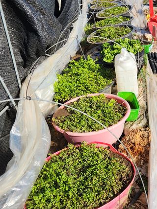 스마일00님의 자유주제 · 사진전 작성글 사진