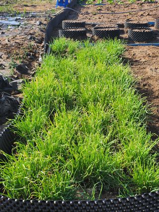 스마일00님의 자유주제 · 사진전 작성글 사진