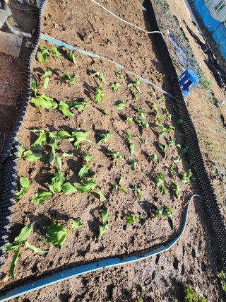 스마일00님의 자유주제 · 사진전 작성글 사진