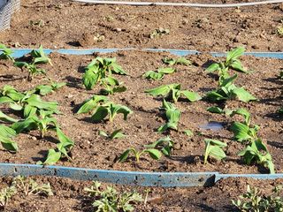 스마일00님의 자유주제 · 사진전 작성글 사진