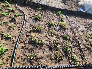 스마일00님의 자유주제 · 사진전 작성글 사진