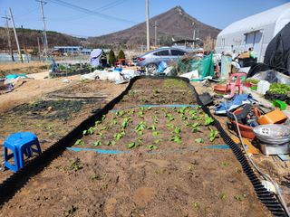 스마일00님의 자유주제 · 사진전 작성글 사진
