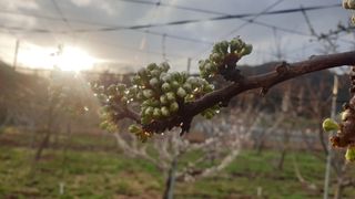 권오열님의 자유주제 · 사진전 작성글 사진