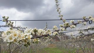 권오열님의 자유주제 · 사진전 작성글 사진