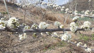 권오열님의 자유주제 · 사진전 작성글 사진