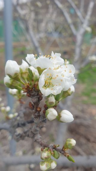 권오열님의 자유주제 · 사진전 작성글 사진