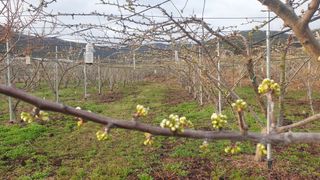 권오열님의 자유주제 · 사진전 작성글 사진