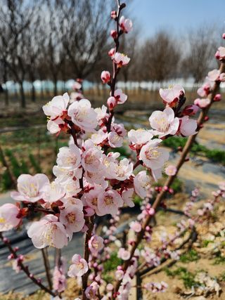 민들레mi님의 자유주제 · 사진전 작성글 사진