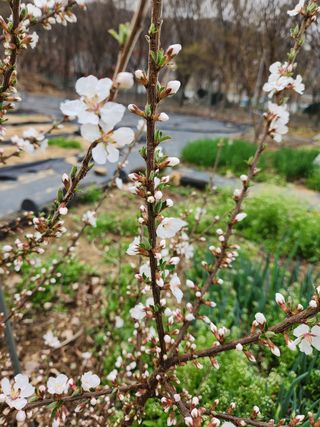 민들레mi님의 자유주제 · 사진전 작성글 사진