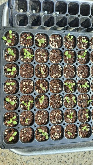 민들레mi님의 자유주제 · 사진전 작성글 사진