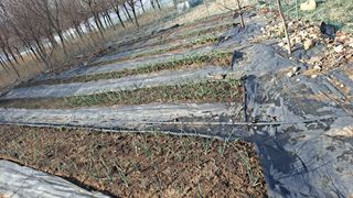 민들레mi님의 자유주제 · 사진전 작성글 사진