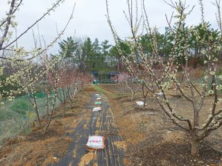 초보농부님의 자유주제 · 자유게시판 작성글 사진